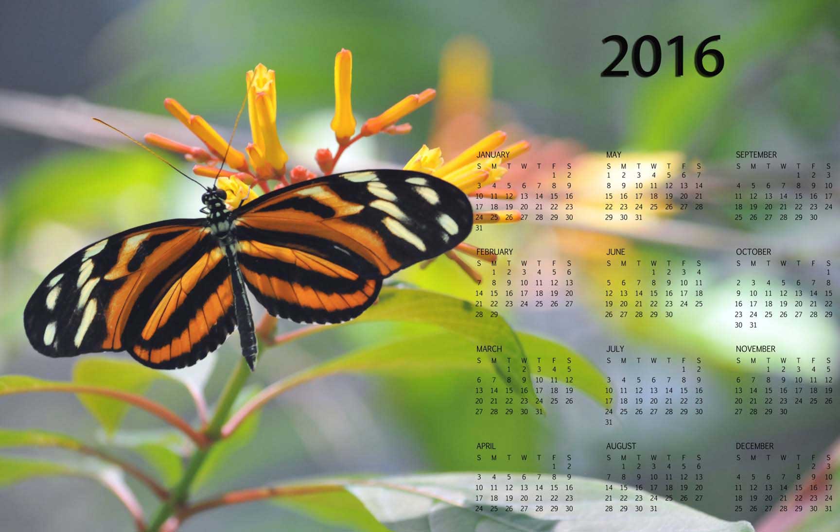 calendar 2016