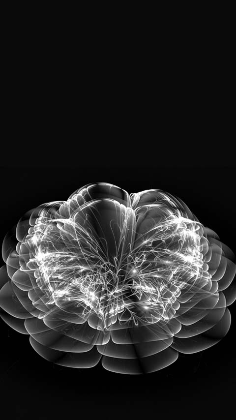 Free Phone Backgrounds Wallpapers-480x854 px FWVGA